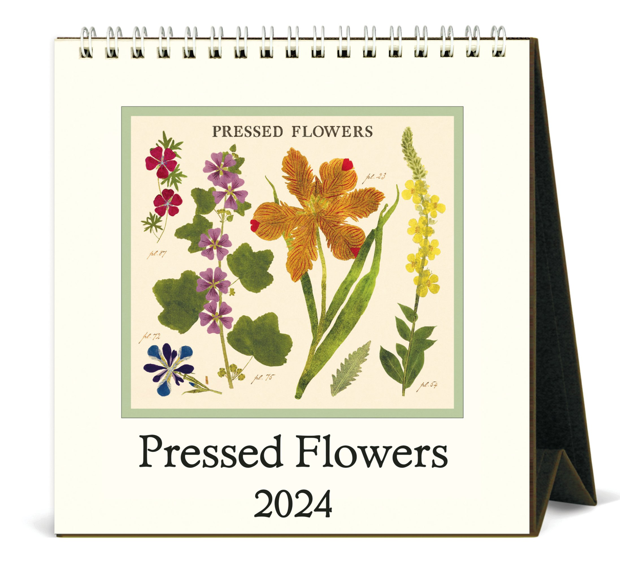 Cavallini & Co. Desk Calendars, 2024 - Several Styles!