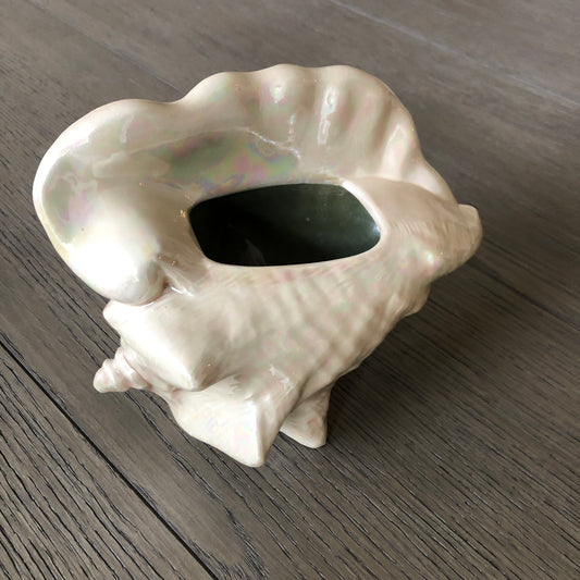 Conch Shaped Planter