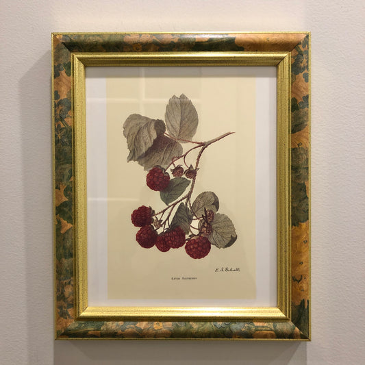 Framed Art: Raspberries